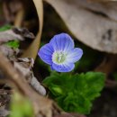 국수일가 이미지