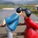 봉평메밀숲 이미지