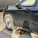 버스정류장(소촌스위트밸리) | [ 뉴질랜드 신혼여행 🇳🇿 ] day 2 밀포드 사운드 일일 투어