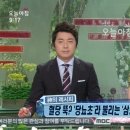 굿모닝농장2 이미지