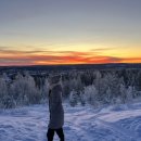 삼보약국 | [공지] 11월. 제일 좋아하는 스웨덴 북부에서 길고 어두운 겨울의 시작.
