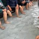 척산족욕공원 | 속초 가볼만한 곳 &#34;척산족욕공원&#34; 비 오는 날 방문 솔직 후기