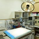 보드미동물병원 이미지