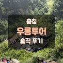 인투어플랫폼 유한회사 | 충칭 우롱투어 예약방법 코스 일정 소요시간 가격 후기