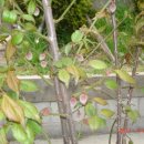 장담경로당 이미지