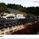 옥색치마