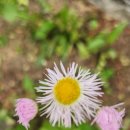 나를 본다 이미지