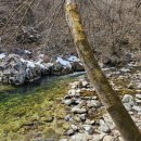 가평힐링하우스 이미지