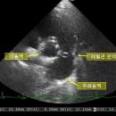 24시 청주이음동물의료센터 이미지