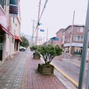 성남초등학교 후문 이미지