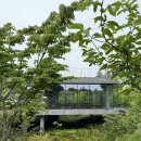 정담은김밥 | 혼자 제주 여행 | 비 오는 날 정원카페 베케, 오는정 김밥 솔직 후기