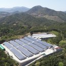 호림 태양광발전소 이미지