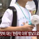 대신한증막