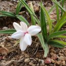 MY 행정사 사무소 이미지