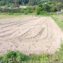 이종선농장 이미지