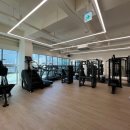 바디랩 그룹트레이닝 & PT 강변점 이미지
