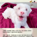 미소주유소 이미지