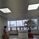 이앤씨벤처드림타워2차 | 럭셔리 밍크의 천국, <마리노블 구로점> 방문기 – 다양한 디자인과 합리적인 가격에 반함