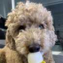 다정다감, 봄 이미지