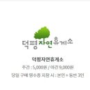 별빛정원 펜션 이미지