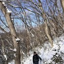 불갑사관광지  연지 앞 | 전라도 겨울 설산 추천 불갑산 등산 후기 불갑사 원점회귀 코스