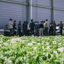 경북 | 2025년 농수산물 온라인 도매시장 산지 팸투어 1회차 (경북)후기