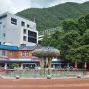 대영매운탕 이미지