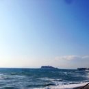 주식회사 필즈 이미지