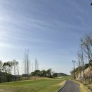 남한강파크 | ⛳여주 골프장 추천, 남한강 에스파크CC 솔직 후기 (코스 난이도 &amp; 관리 상태)