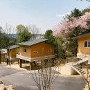 두루웰자연휴양림 이미지