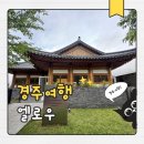 보문호수 | 경주 여행 대형카페 추천 엘로우 보문단지 보문호수뷰 필수코스 후기
