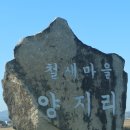 철원 기러기, 재두루미 2024. 12. 9 이미지