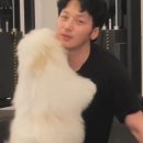 털뭉치 이미지