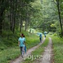 스테이 녹음 이미지