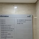 타코맛집 감성타코 광화문점_ 또띠아 무한리필 내돈내산 솔직후기