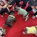 알까네 펫드라이브 | 일산 킨텍스 2025 메가주(하) 후기 🪿