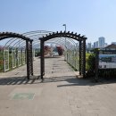 뚝섬한강공원-23 이미지