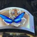 코스모스호텔 이미지