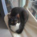 대동각 | 250203~250209