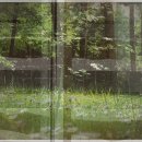 청도훼미리랜드 이미지