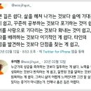 유난히도 힘들었던 2024년을 보낸 여러분들을 위로하고 싶어서 올리는 글.gif 이미지