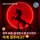 첨단기업2로-13 | 플래시백 계림 | 경주 실내 미디어아트 신라 몰입형 전시 아이와 가볼만한곳 여름 데이트