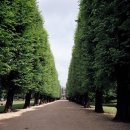 사랑목장 이미지