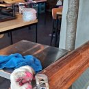 역전할머니맥주태안점 이미지