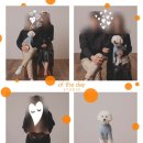 OX PC 동방오거리점 | 부산사진관 @ 그날의미술관 // 결혼1주년 기념~ 반려견과 함께 가족 사진