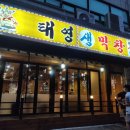 태영생막창41 이미지