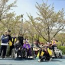 선진병원(요양병원) | [경기도 안양시 요양원 요양병원 추천, 가격, 장소] 선진요양원 가족 같은 돌봄과 전문 의료 서비스