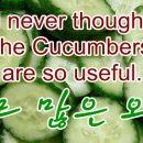 오이(Cucumbers)의 효능 이미지