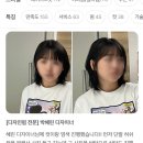 진심담따