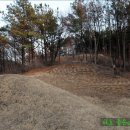 수성최씨시조묘 이미지